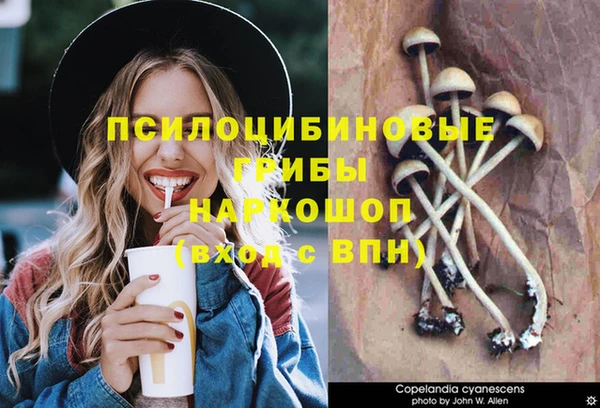 винт Верхний Тагил