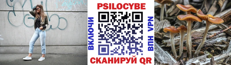 Псилоцибиновые грибы Psilocybine cubensis hydra вход Рузаевка